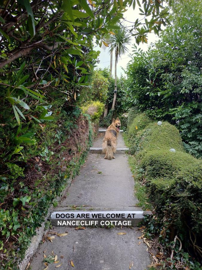 Dog Friendly Nancecliff Cottages Looe Exterior foto