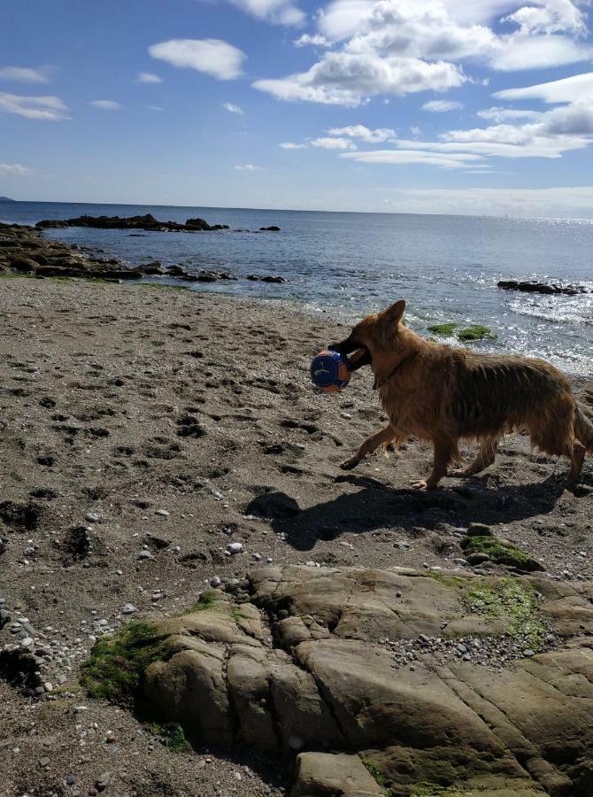 Dog Friendly Nancecliff Cottages Looe Exterior foto